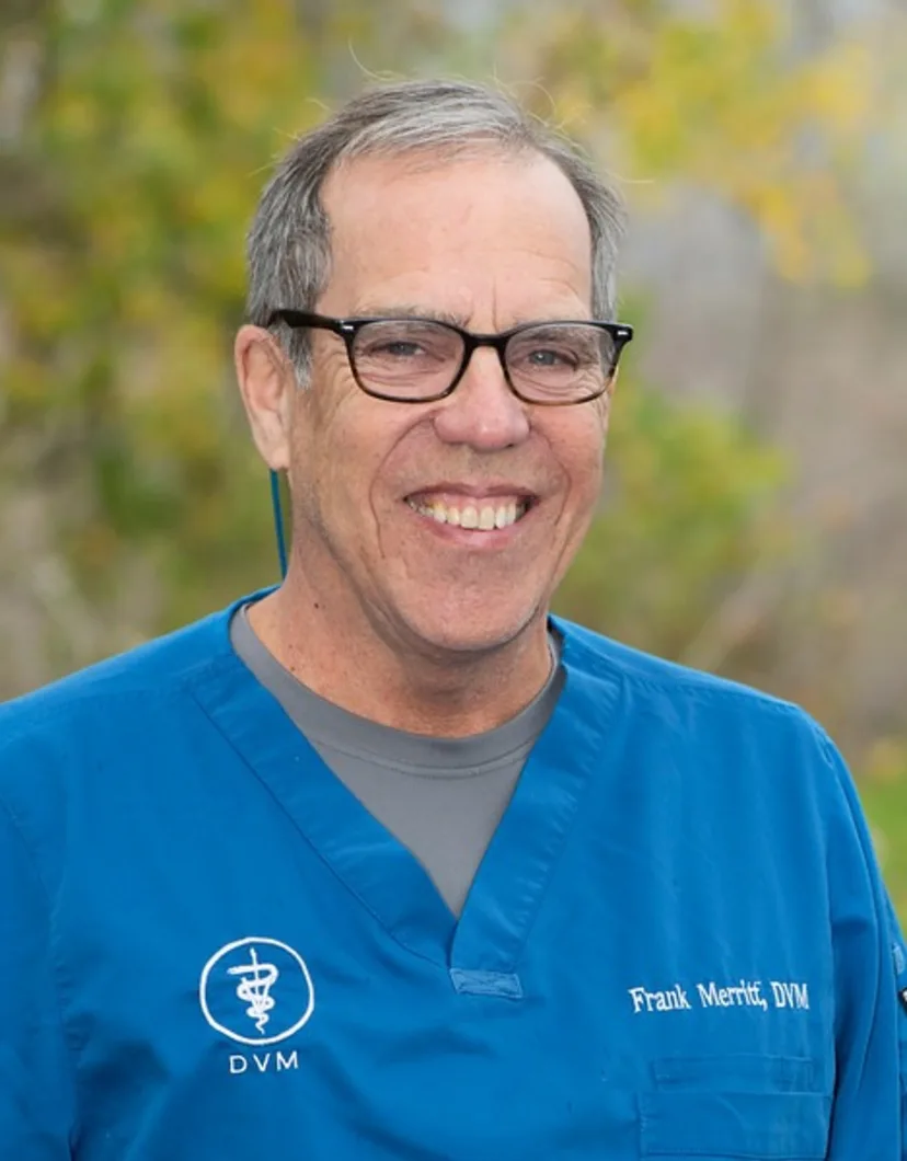 Dr. Frank Merritt at Yokayo Veterinary Center